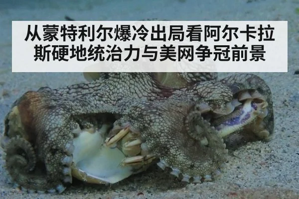 从蒙特利尔爆冷出局看阿尔卡拉斯硬地统治力与美网争冠前景